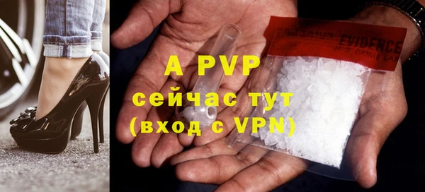прущие грибы Наволоки
