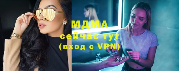 прущие грибы Наволоки