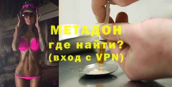 прущие грибы Наволоки