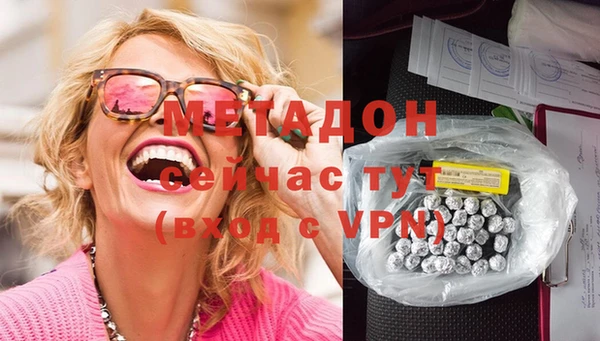 прущие грибы Наволоки