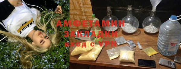 прущие грибы Наволоки